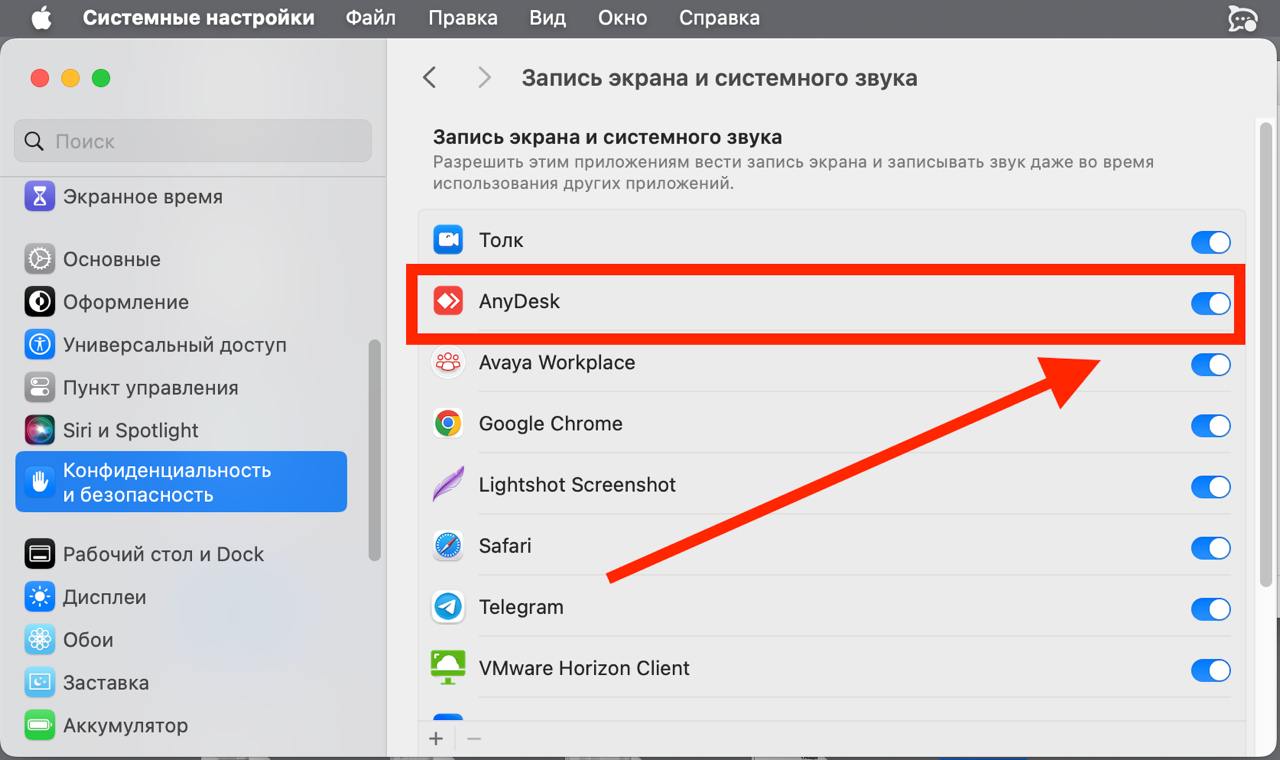 Запись экрана — ползунок AnyDesk