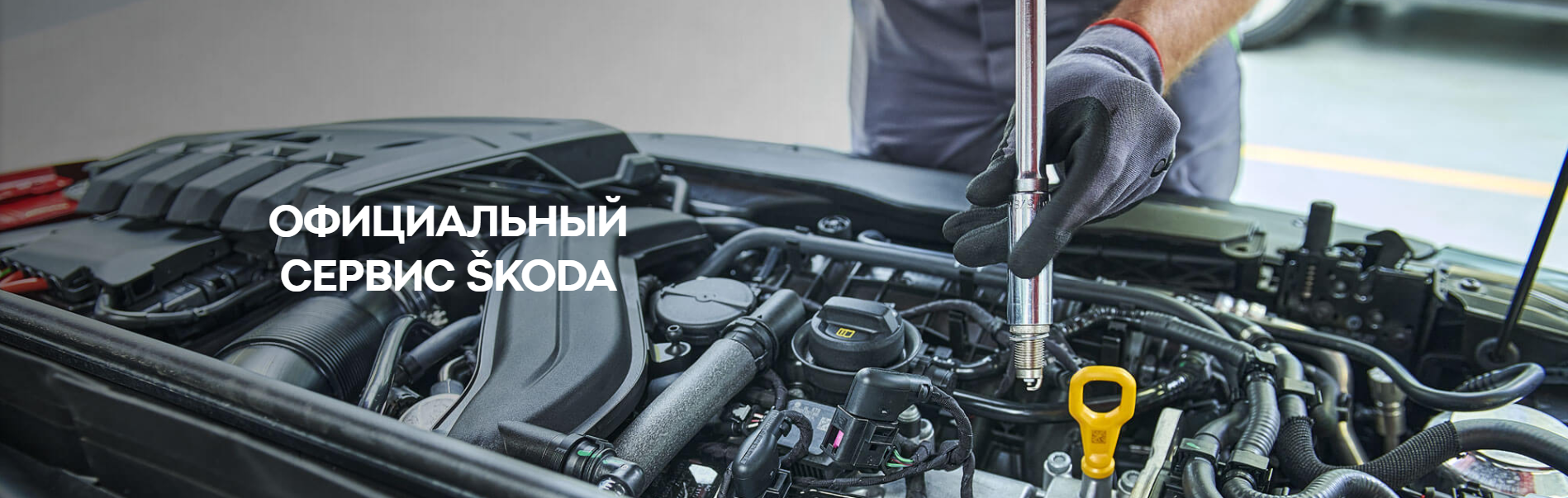 21208c51f19045a0ed36d88f9c1ee081.png