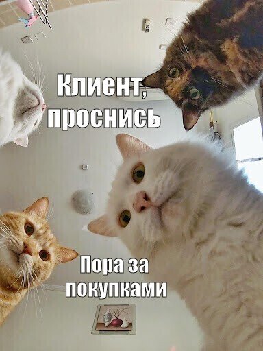 88f5b8e1802b1f5570abdf84dadc61d6.jpeg